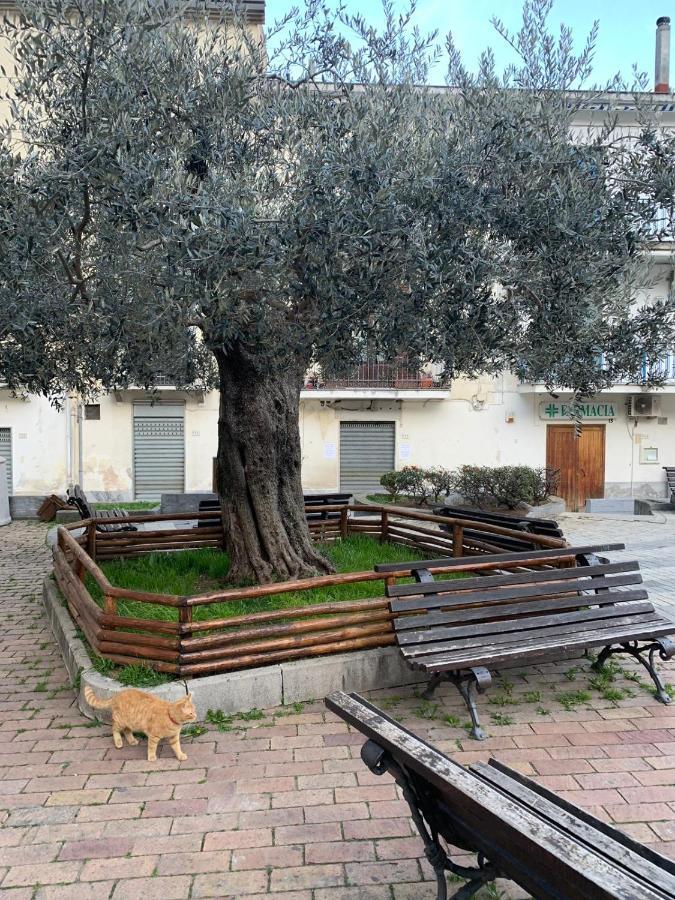 B&B Il Vicoletto Olevano sul Tusciano Екстериор снимка